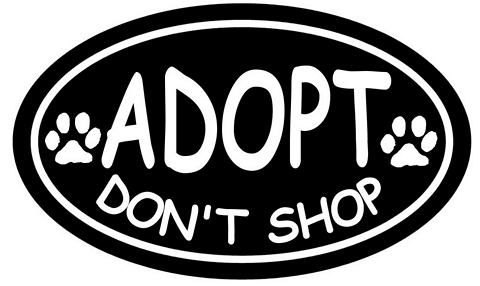 Adopt Dont Shop